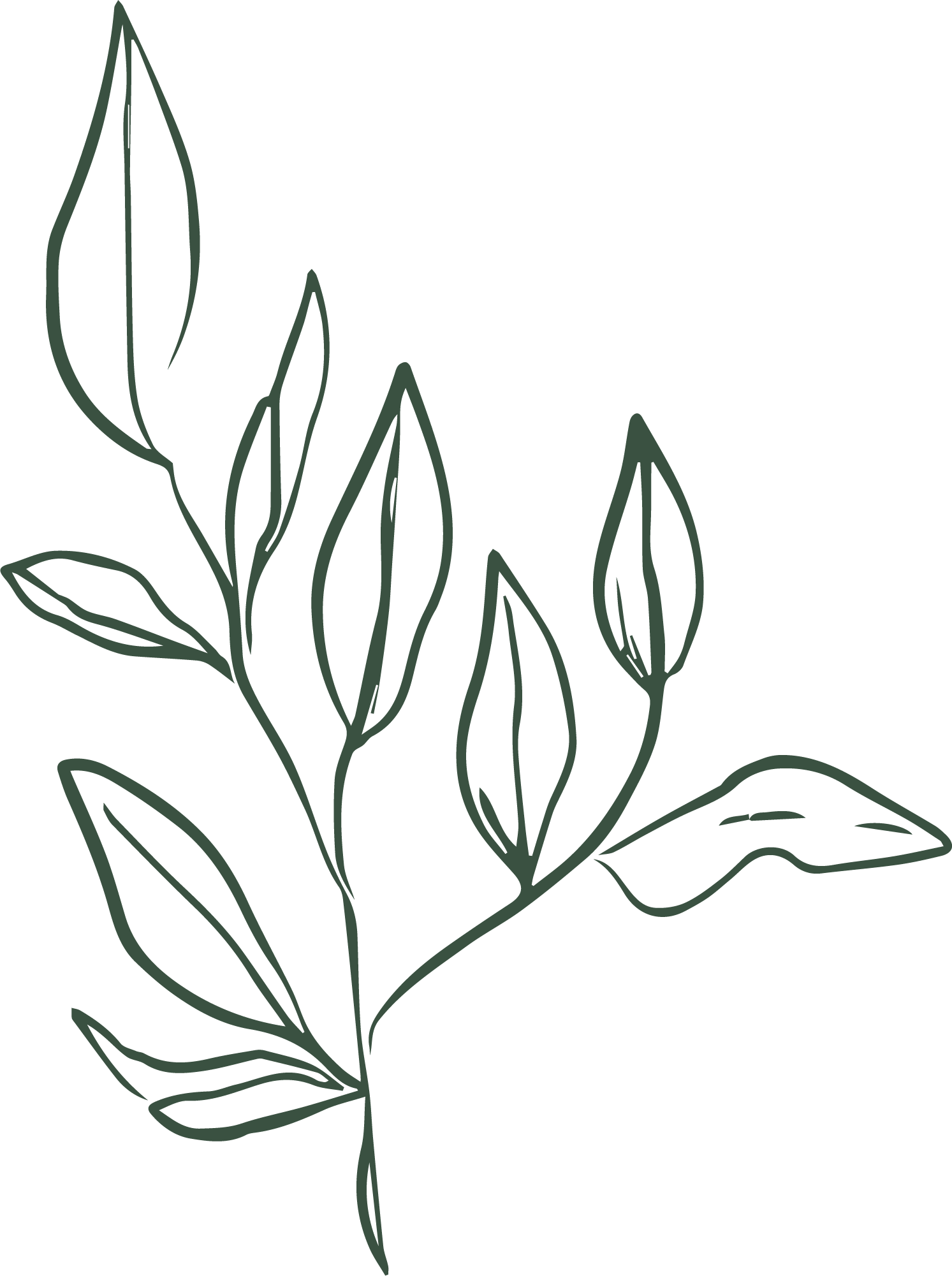 florals_leaf-2-pine